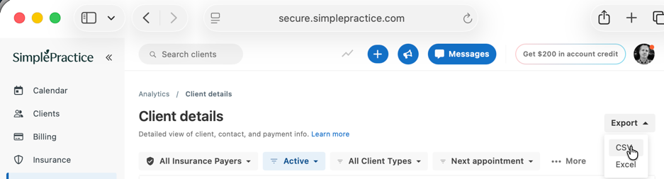 SimplePractice Client Details CSV export option